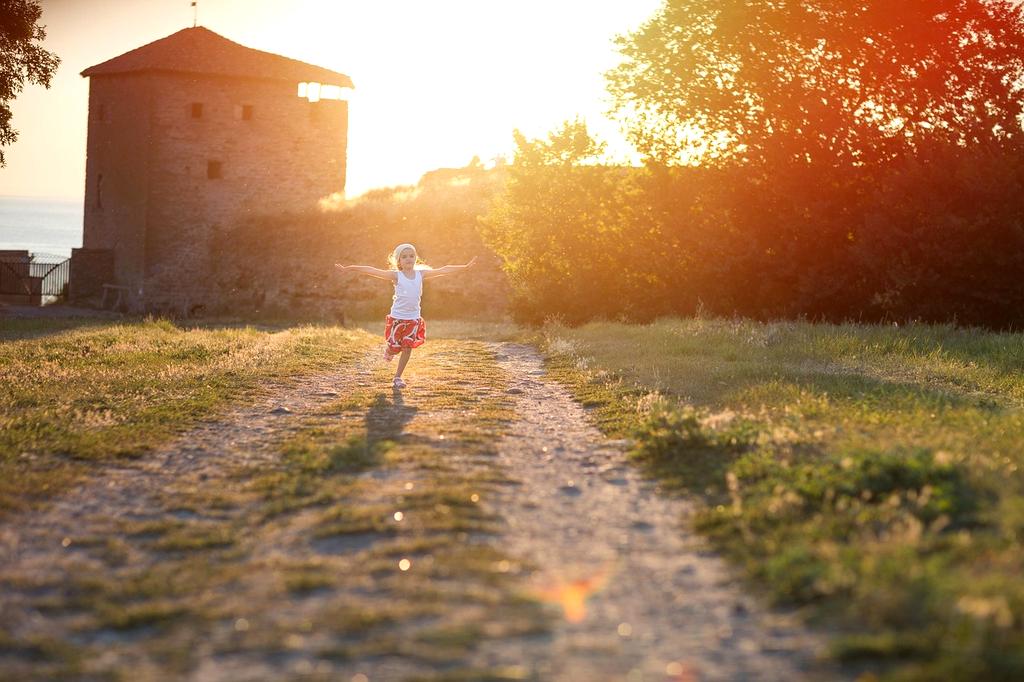 Open notebook, camera, and pine cones on a wooden table
