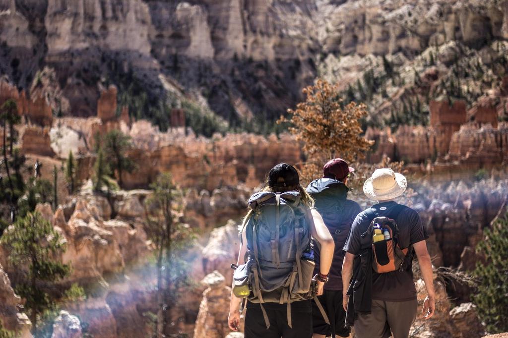 Sunlit canyon trail with rocky formations