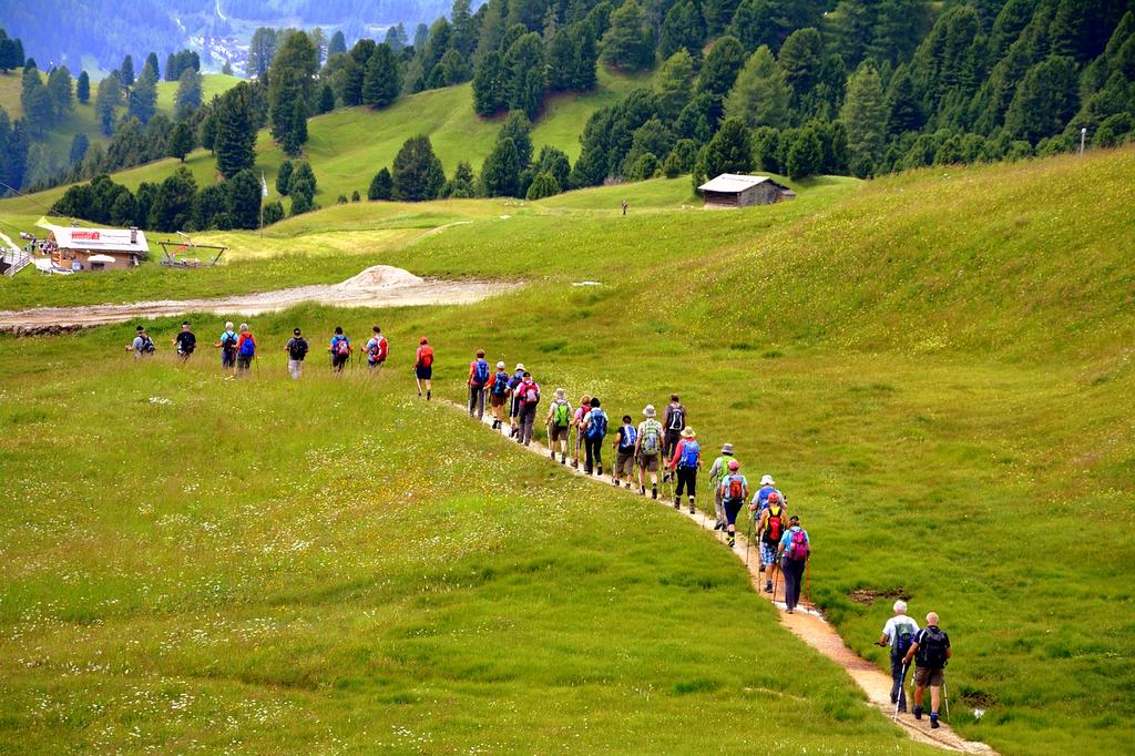 Group of diverse hikers smiling and looking at landscape