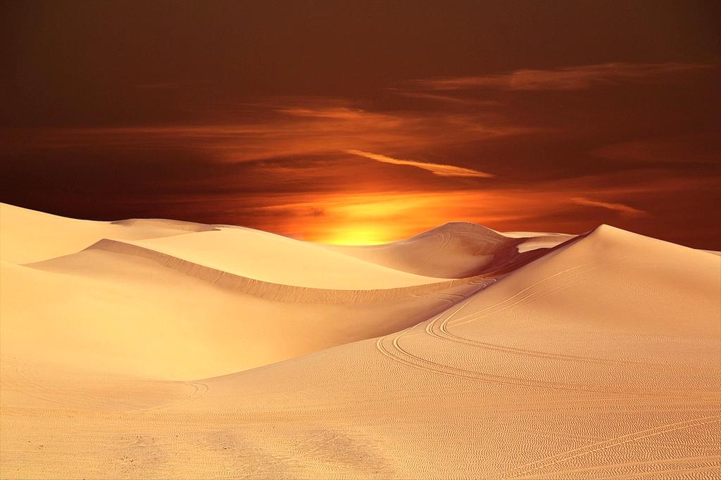 Vibrant orange sand dunes under clear sky
