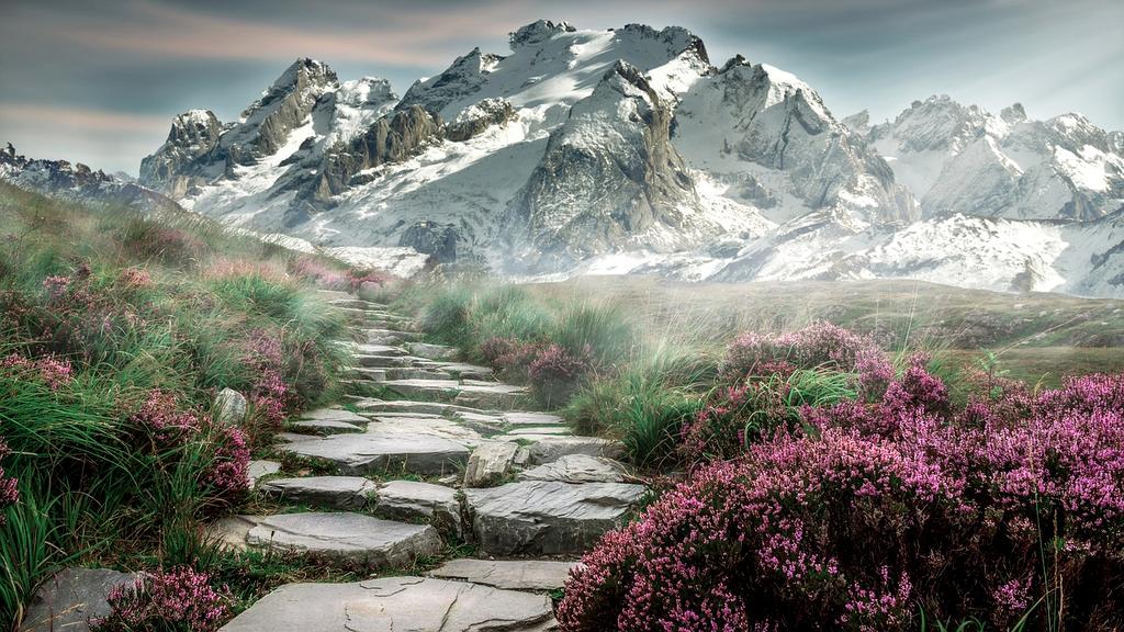 Hiker standing on a mountain top overlooking a lush valley