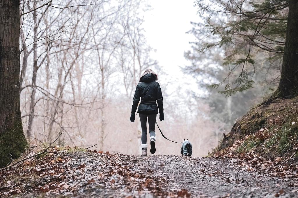 Abstract topographic map lines glowing